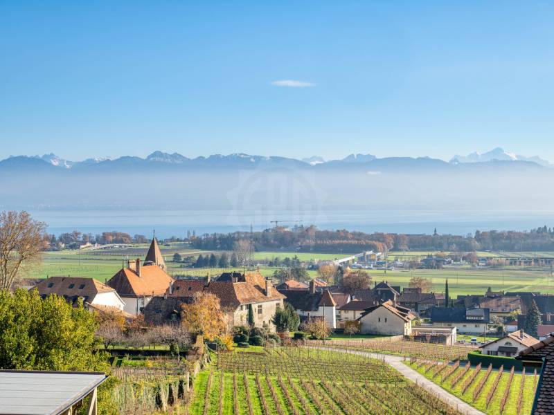 Villa lumineuse – Bursins