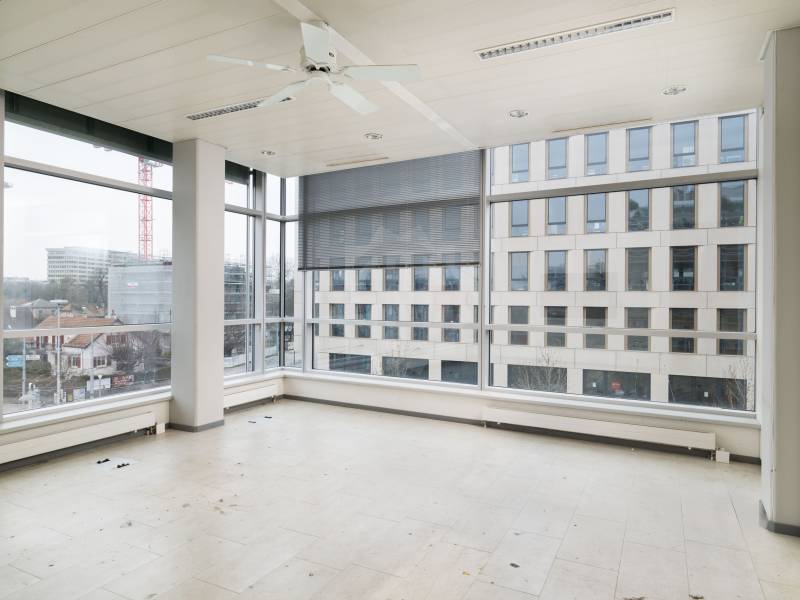 Immagine dell’annuncio