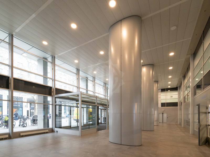 Immagine dell’annuncio