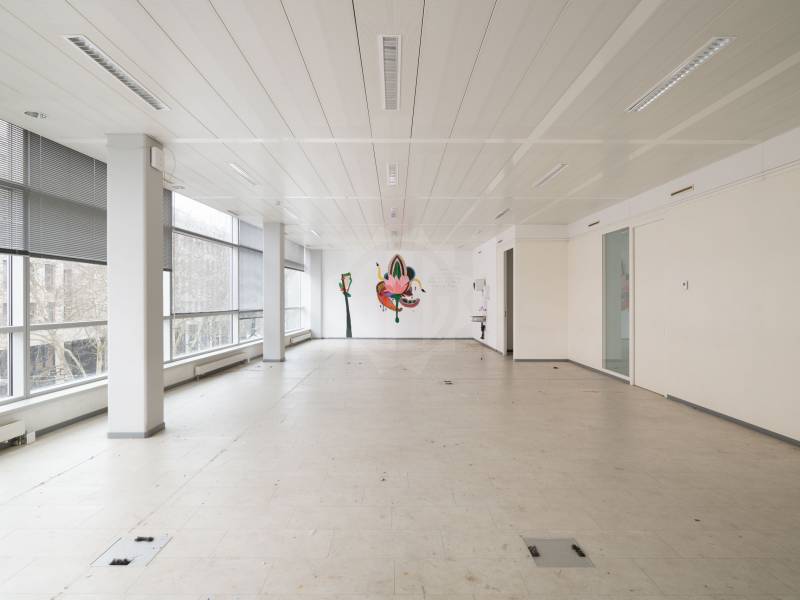 Immagine dell’annuncio