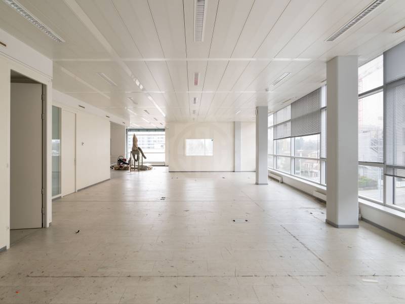 Immagine dell’annuncio