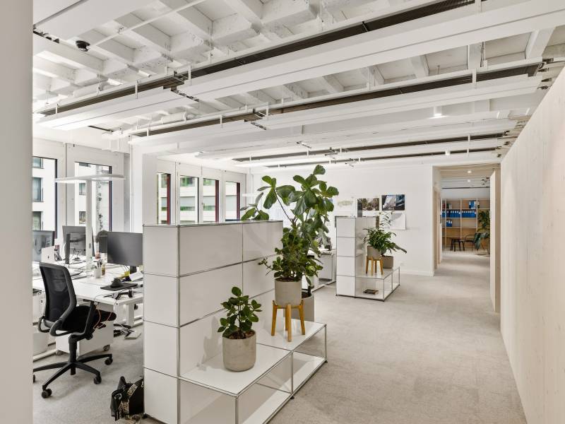 Image de l’annonce