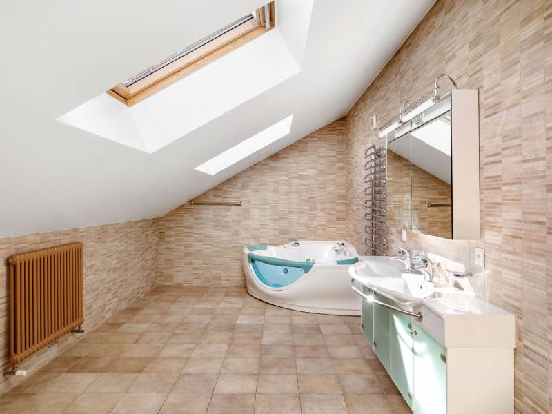 Image de l’annonce