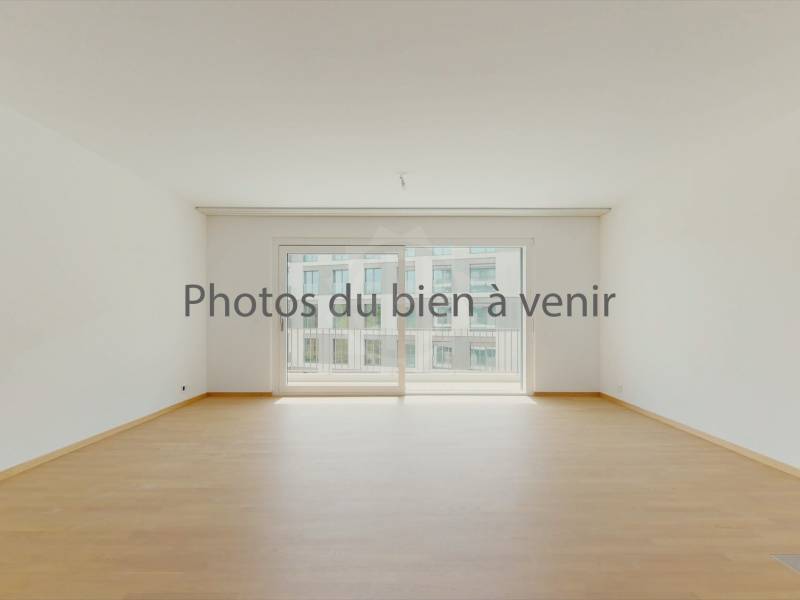 Stylish apartment – Thônex