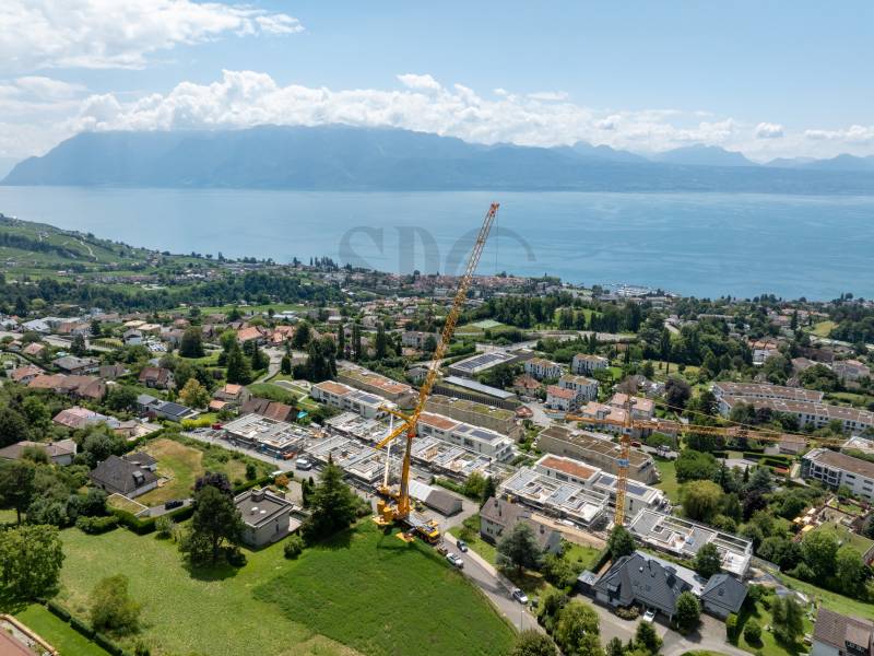 Image de l’annonce