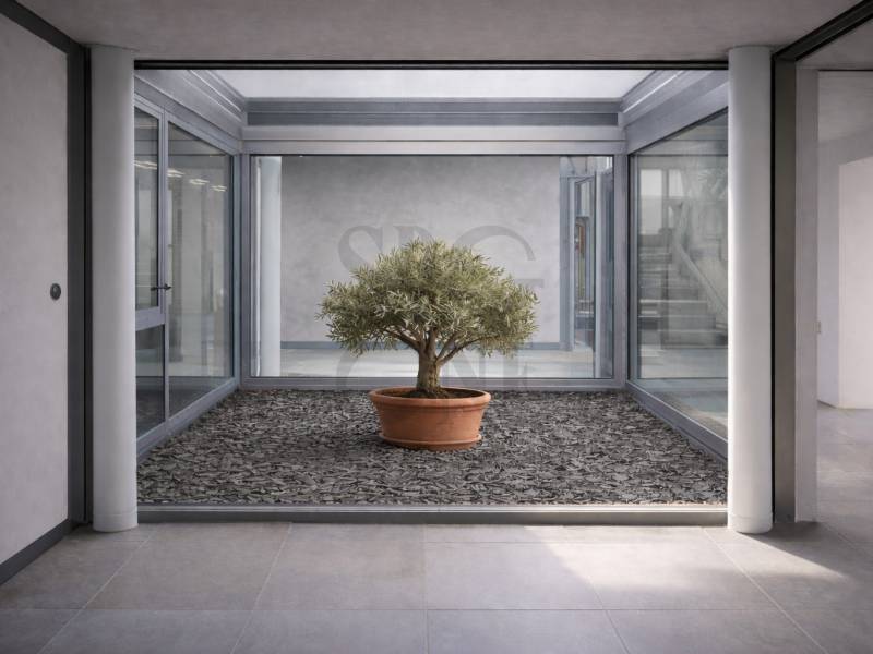 Image de l’annonce