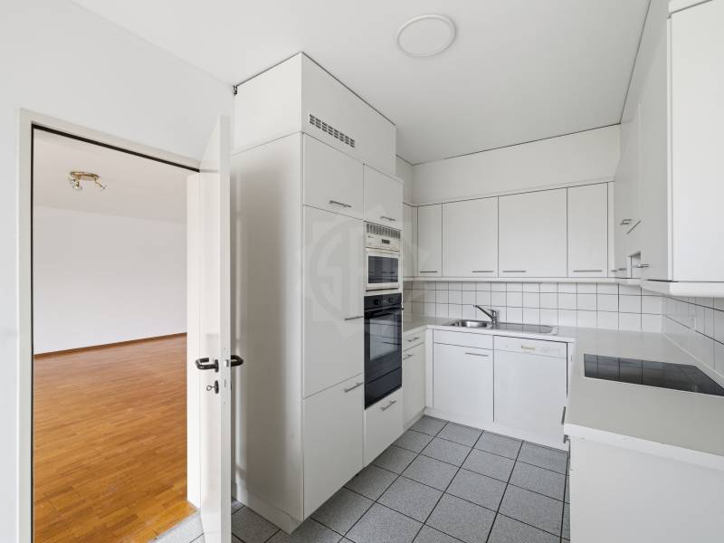 Charming apartment – Petit-Lancy