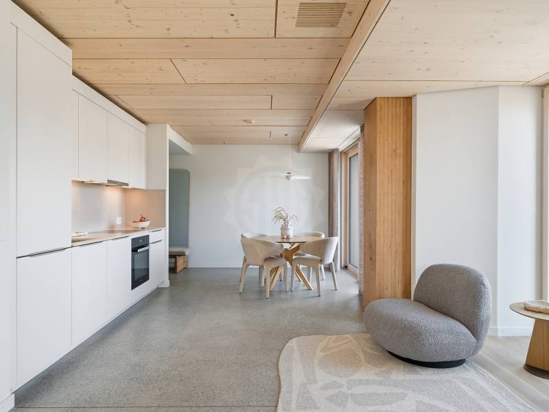 Image de l’annonce