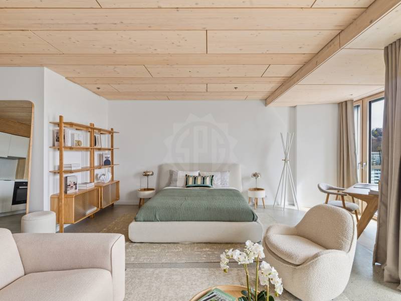 Image de l’annonce