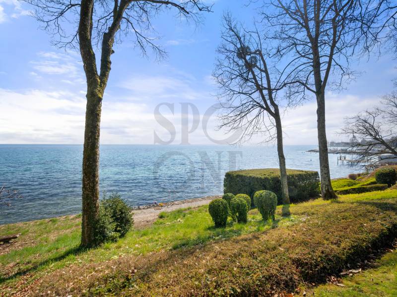 Image de l’annonce