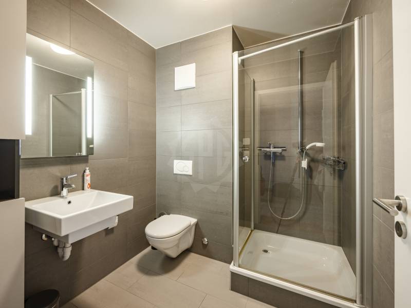 Image de l’annonce