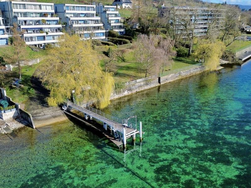 Image de l’annonce