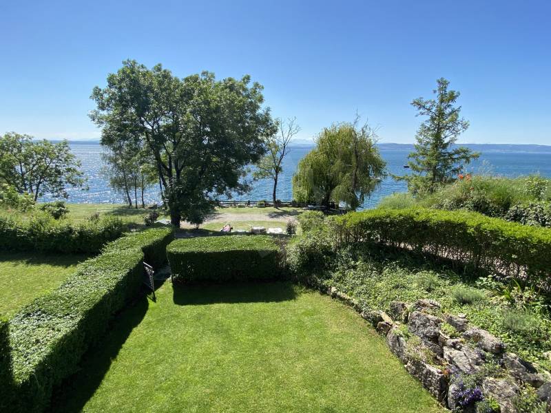 Image de l’annonce