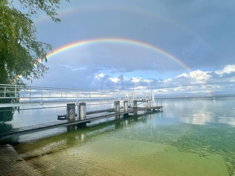 Image de l’annonce