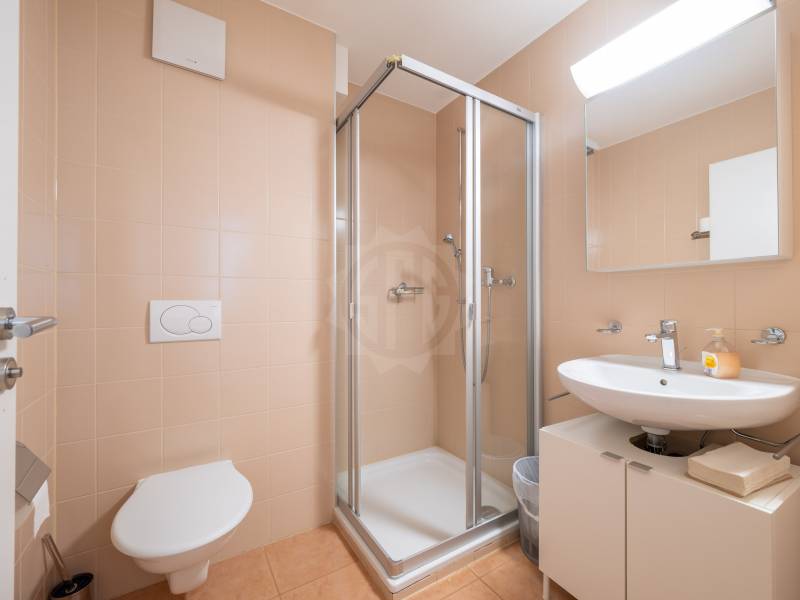 Image de l’annonce