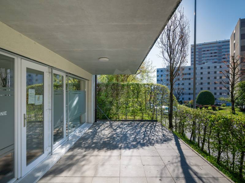 Image de l’annonce