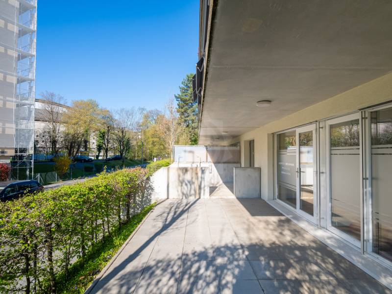 Image de l’annonce