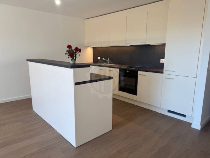 Pleasant apartment – NYON