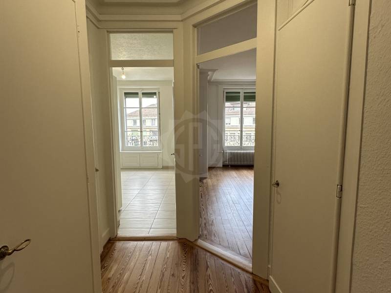Pleasant apartment – Genève