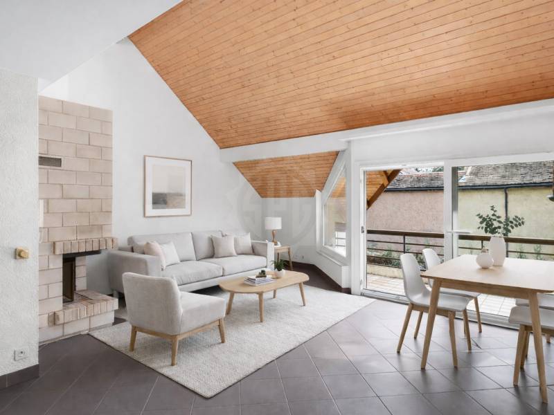 Charmant appartement – Nyon