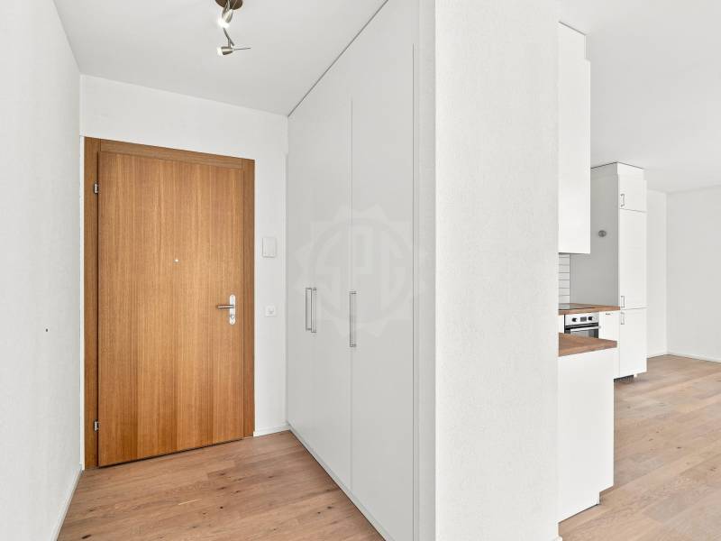 Pleasant apartment – Chêne-Bougeries