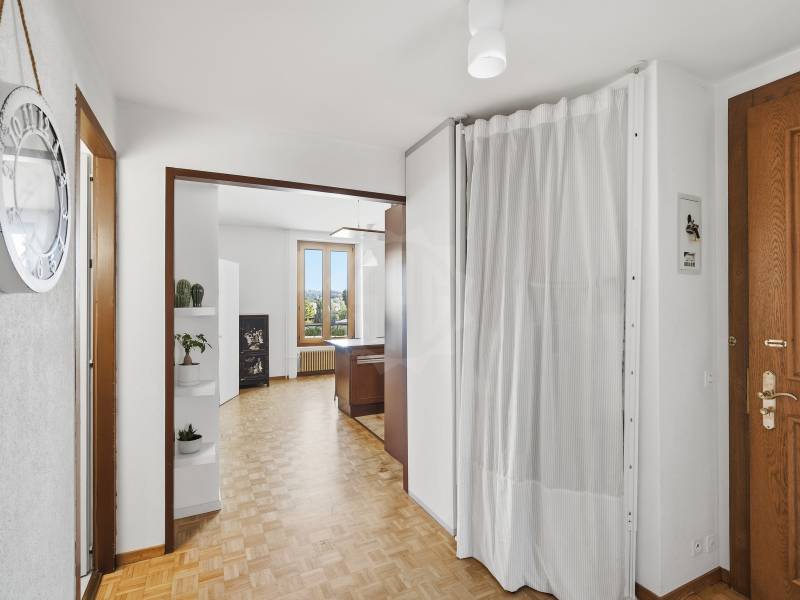 Pleasant apartment – Chêne-Bourg