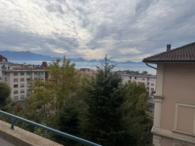 Beautiful apartment – Lausanne